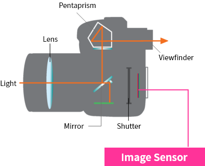 Image Sensor